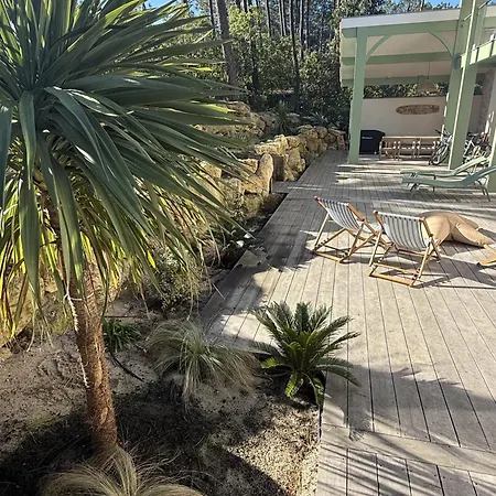 D'exception A Ocean *