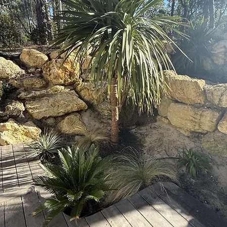 D'exception A Ocean * Lacanau