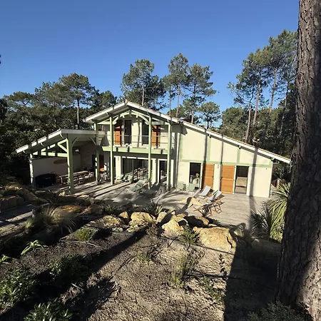 D'exception A Ocean * Lacanau