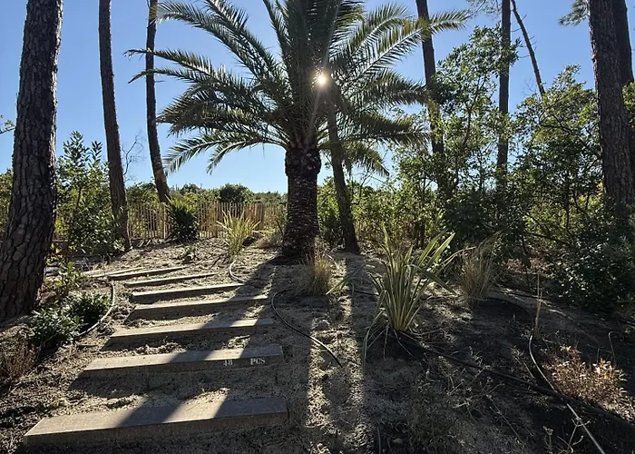 D'exception A Ocean Lacanau