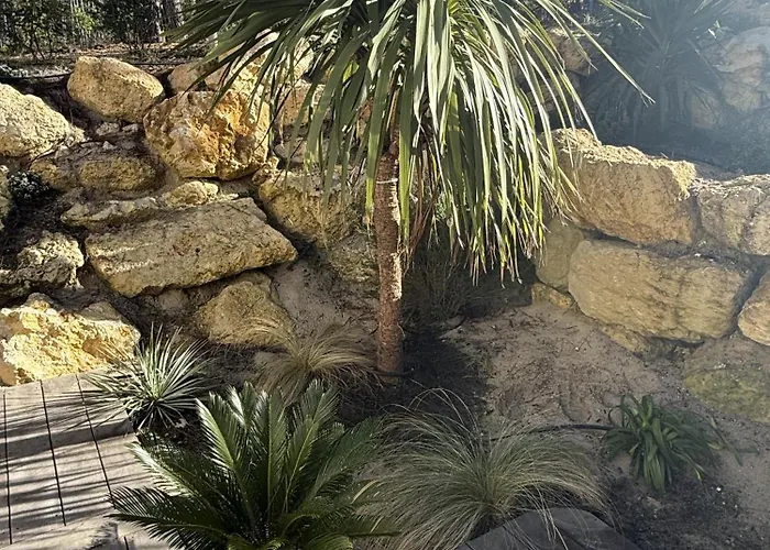 D'exception A Ocean * Lacanau