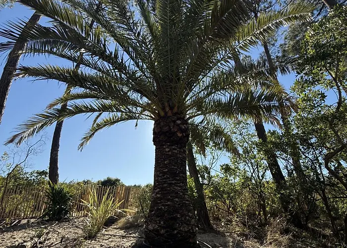 Villa D'exception A Ocean