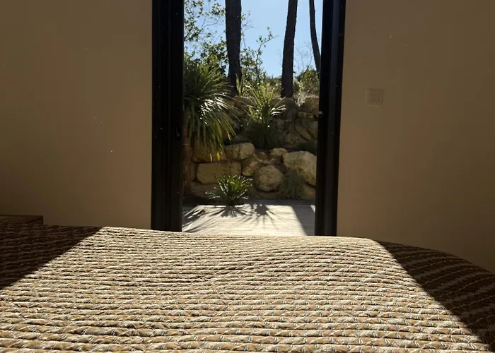 D'exception A Ocean Lacanau